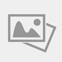 Milton Lopes Júnior